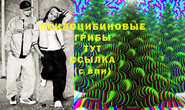 гашик Баксан